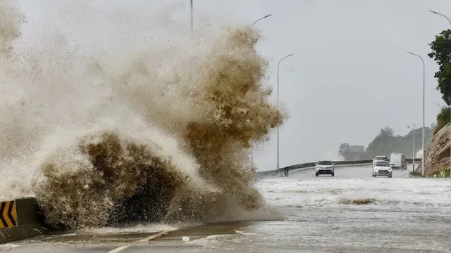 typhoon-shahshan-japan-causes-severe-disruptions-in-bullet-train-flight-operations-as-wind-speed-rises-to-216-kmph